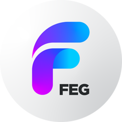 FEG BSCLOGO