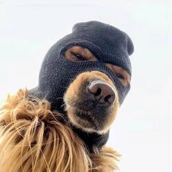 Ski Mask DogLOGO