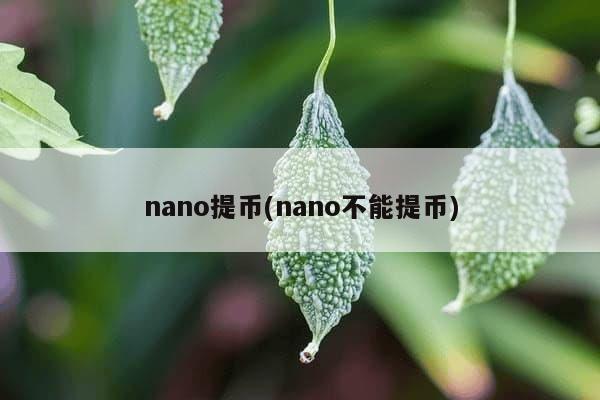 nano提币(nano不能提币)