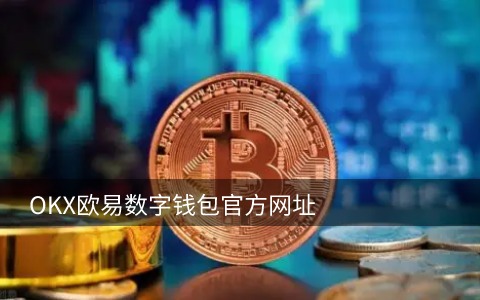 欧意怎么在电脑上登录_苹果手机下载okpay钱包并安装V6.1.28